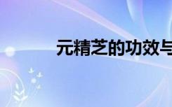元精芝的功效与作用（元精芝）