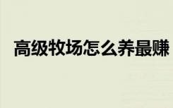 高级牧场怎么养最赚（牧场养什么最挣钱）