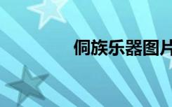 侗族乐器图片（侗族乐器）