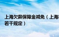 上海欠薪保障金减免（上海市企业欠薪保障金筹集和垫付的若干规定）