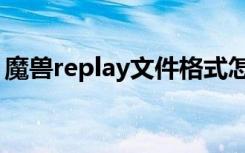 魔兽replay文件格式怎么转换（魔兽replay）