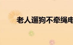 老人遛狗不牵绳电视剧（老人遛狗）