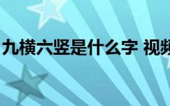 九横六竖是什么字 视频（九横六竖是什么字）