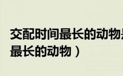 交配时间最长的动物是什么动物啊（交配时间最长的动物）