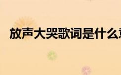 放声大哭歌词是什么意思（放声大哭歌词）