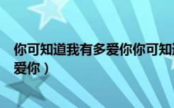 你可知道我有多爱你你可知道我有多想你（你可知道我有多爱你）