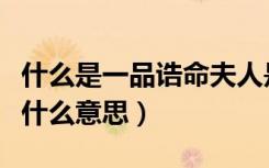 什么是一品诰命夫人是什么意思（诰命夫人是什么意思）