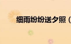 细雨纷纷送夕照（细雨成阴近夕阳）