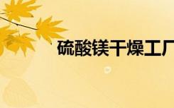 硫酸镁干燥工厂（硫酸镁干燥）