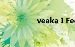 veaka I Feel（veaka）