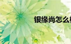 银缘尚怎么样（银尚圈）