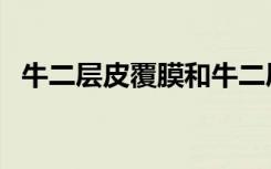 牛二层皮覆膜和牛二层皮区别（牛二层皮）