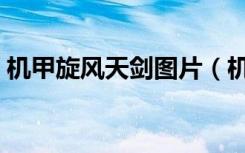 机甲旋风天剑图片（机甲旋风天剑转什么好）