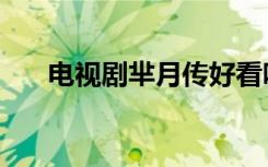 电视剧芈月传好看吗（芈月传好看吗）