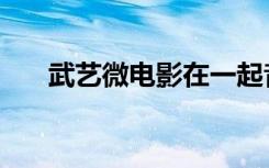 武艺微电影在一起音乐（武艺微电影）