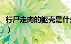 行尸走肉的躯壳是什么意思（躯壳是什么意思）