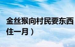 金丝猴向村民要东西（金丝猴在陕西村民家中住一月）