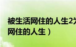 被生活网住的人生2为什么不更新了（被生活网住的人生）