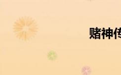 赌神传奇txt