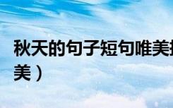 秋天的句子短句唯美押韵（秋天的句子短句唯美）