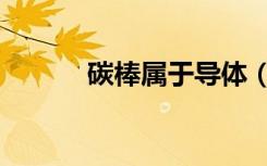 碳棒属于导体（碳棒是导体吗）