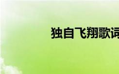 独自飞翔歌词（单飞歌词）