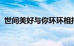 世间美好与你环环相扣歌词表达了什么意思