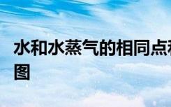 水和水蒸气的相同点和不同点三年级科学维恩图