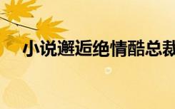 小说邂逅绝情酷总裁（邂逅绝情酷总裁）