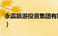 永嘉旅游投资集团有限公司董事长（永嘉旅游）