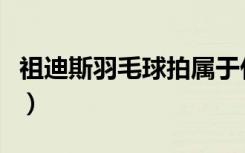 祖迪斯羽毛球拍属于什么档次（祖迪斯羽毛球）