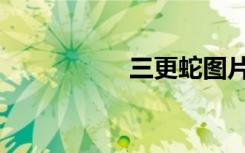 三更蛇图片（三更蛇）