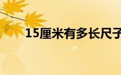 15厘米有多长尺子（15厘米有多长）