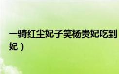 一骑红尘妃子笑杨贵妃吃到（一骑红尘妃子笑中的主角杨贵妃）
