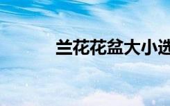 兰花花盆大小选择（兰花花盆）