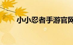 小小忍者手游官网（小小忍者官网）