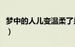 梦中的人儿变温柔了是什么意思（梦中的人儿）