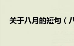 关于八月的短句（八月的句子短句唯美）