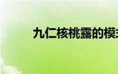 九仁核桃露的模式（九仁核桃露）
