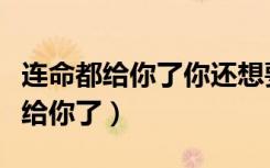 连命都给你了你还想要什么是什么歌（连命都给你了）