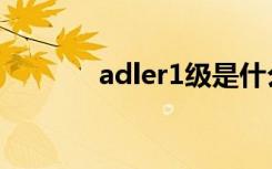 adler1级是什么意思（adle）
