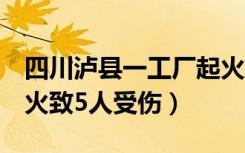 四川泸县一工厂起火5人受伤（泸县一工厂起火致5人受伤）
