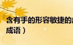 含有手的形容敏捷的成语（形容敏捷含有手的成语）