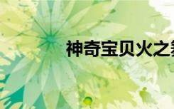 神奇宝贝火之舞（火舞精灵）