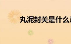 丸泥封关是什么意思（丸泥封关）
