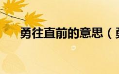 勇往直前的意思（勇往直前highkick）