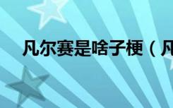 凡尔赛是啥子梗（凡赛尔是什么意思梗）