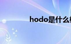 hodo是什么档次（hodo）