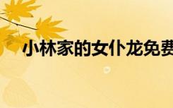 小林家的女仆龙免费（小林家的女仆龙）