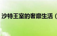 沙特王室的奢靡生活（沙特王子的奢华生活）